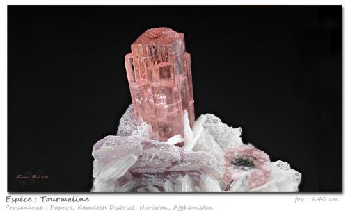 Tourmaline<br />Paprok, Kamdesh District, Nuristan Province, Afghanistan<br />6.40 cm<br /> (Author: ploum)