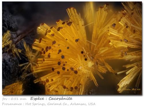 Cacoxenite<br />Hot Springs, Garland County, Arkansas, USA<br />fov 0,51 mm<br /> (Author: ploum)