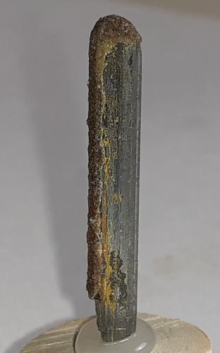 Stibnite, Stibiconite<br />Le Cetine di Cotorniano Mine (Le Cetine Mine), Chiusdino, Siena Province, Tuscany, Italy<br />30 x 4 mm<br /> (Author: Volkmar Stingl)