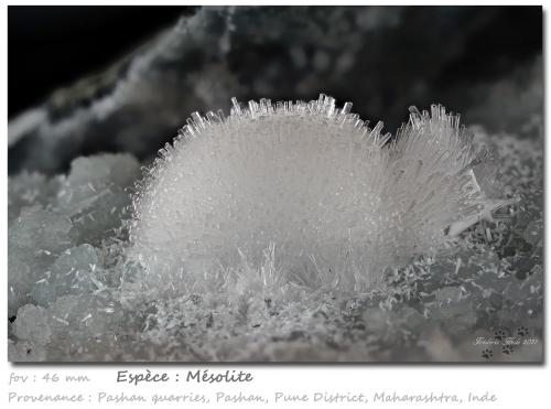 Mesolite<br />Pashan Quarries, Pashan, Pune District (Poonah District), Maharashtra, India<br />fov 46 mm<br /> (Author: ploum)