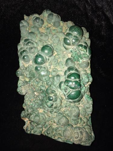 Malachite<br />Katanga Copper Crescent, Katanga (Shaba), Democratic Republic of the Congo (Zaire)<br />245 mm x 112 mm x 85 mm<br /> (Author: Robert Seitz)