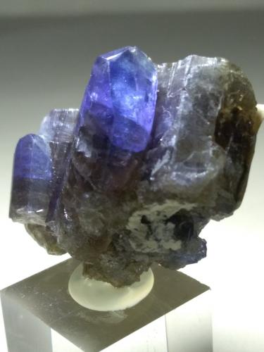 Zoisite (variety tanzanite)<br />Merelani, Montes Lelatema, Distrito Simanjiro, Región Manyara, Tanzania<br />37 x 29 mm<br /> (Author: Sante Celiberti)