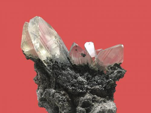 Anglesite<br />Touissit, Touissit District, Jerada Province, Oriental Region, Morocco<br />biggest crystal 5 cm long<br /> (Author: Jean Suffert)
