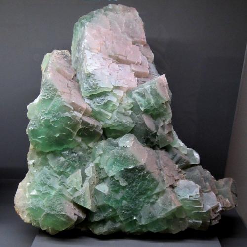 Fluorite<br />Rottleberode, Stolberg, Distrito Mansfeld-Südharz, Harz, Sajonia-Anhalt/Sachsen-Anhalt, Alemania<br />Specimen size 40 cm<br /> (Author: Tobi)