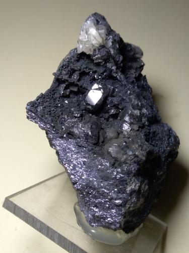 Anglesite, Galena<br />Monteponi Mine, Iglesias, Sud Sardegna Province, Sardinia/Sardegna, Italy<br />62 x 51 mm<br /> (Author: Sante Celiberti)