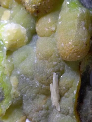 Smithsonite, Cerussite<br />Mina Masua, Masua, Iglesias, Provincia Sud Sardegna, Cerdeña/Sardegna, Italia<br />62 x 35 mm<br /> (Author: Sante Celiberti)