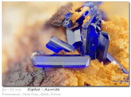 Azurite<br />Mas Dieu, Mercoirol, Alès, Gard, Occitanie, Francia<br />fov 3.7 mm<br /> (Author: ploum)