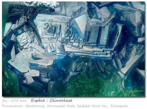 Clinoclase<br />Bartolomej mining field, Novoveská Huta, Spiská Nová Ves, Spiská Nová Ves District, Koice Region, Slovak Republic<br />fov 0.75 mm<br /> (Author: ploum)