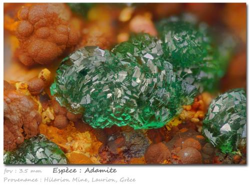 Adamite<br />Hilarion Mine, Hilarion area, Kamariza Mines, Agios Konstantinos, Lavrion Mining District, Attikí (Attica) Prefecture, Greece<br />fov 3.5 mm<br /> (Author: ploum)