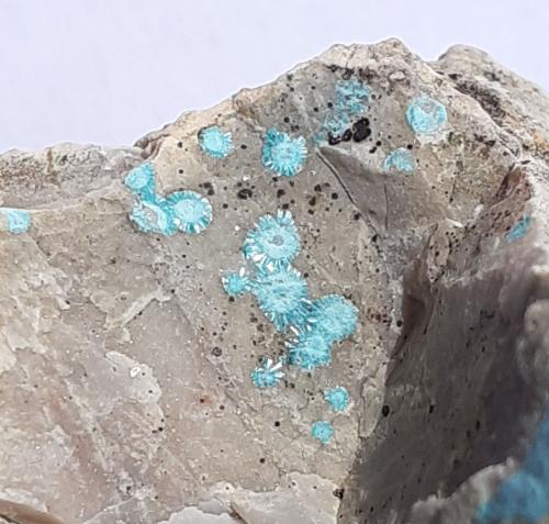 Theisite<br />Ringenwechsel Mining District, Troi, District Schwaz, Inn Valley, North Tyrol, Tyrol/Tirol, Austria<br />FoV ca. 1,5 x 1,5 cm<br /> (Author: Volkmar Stingl)