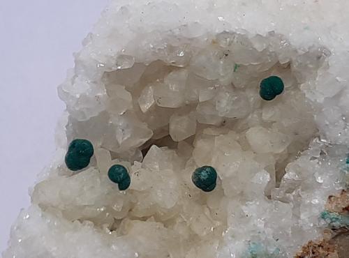 Malachite, Calcite<br />Ringenwechsel Mining District, Troi, District Schwaz, Inn Valley, North Tyrol, Tyrol/Tirol, Austria<br />FoV 2,5 x 2 cm<br /> (Author: Volkmar Stingl)