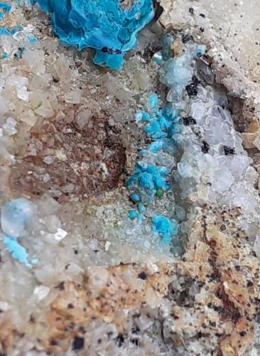 Chrysocolla, Dolomite, Calcite, Cuproadamite (?)<br />Ringenwechsel Mining District, Troi, District Schwaz, Inn Valley, North Tyrol, Tyrol/Tirol, Austria<br />8 x 5 cm<br /> (Author: Volkmar Stingl)