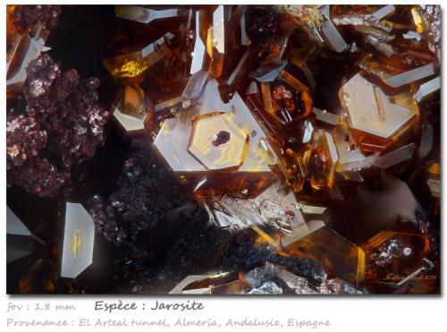 Jarosite<br />Socavón Santa Bárbara (El Arteal Tunnel), Almagrera Range, Cuevas del Almanzora, Comarca Levante Almeriense, Almería, Andalusia, Spain<br />fov 1.8 mm<br /> (Author: ploum)