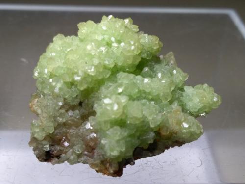 Smithsonite (variety cuprian)<br />Mina Tsumeb, Easter Pocket, Tsumeb, Región Otjikoto, Namibia<br />31 x 27 mm<br /> (Author: Sante Celiberti)