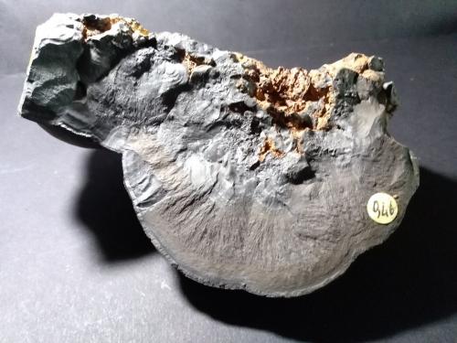 Romanèchita<br />San Giovanneddu Mine, Gonnesa, Sud Sardegna Province, Sardinia/Sardegna, Italy<br />160 x 125 mm<br /> (Autor: Sante Celiberti)