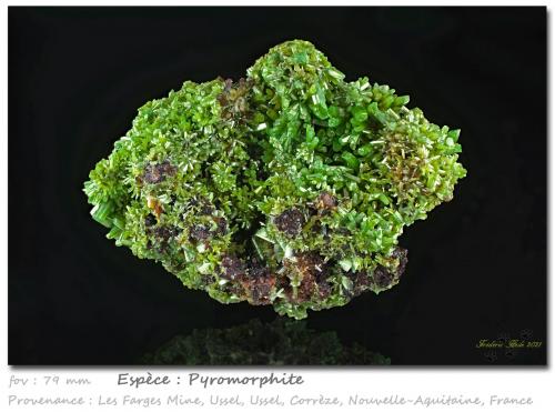 Pyromorphite<br />Mina Les Farges (Mina Des Farges), Ussel, Corrèze, Nouvelle-Aquitaine, Francia<br />fov 79 mm<br /> (Author: ploum)