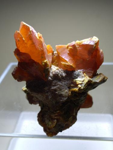 Orpiment<br />Twin Creeks Mine, cut 62, Potosi District, Osgood Mountains, Humboldt County, Nevada, USA<br />50 x 42 mm<br /> (Author: Sante Celiberti)