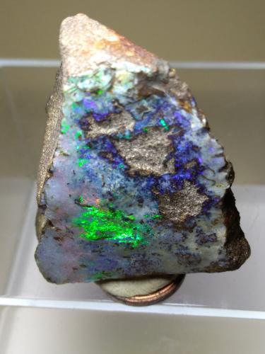 Opal<br />Quilpie, Quilpie Shire, Queensland, Australia<br />43 x 36 mm<br /> (Author: Sante Celiberti)