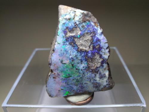 Opal<br />Quilpie, Quilpie Shire, Queensland, Australia<br />43 x 36 mm<br /> (Author: Sante Celiberti)