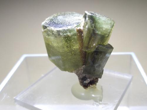 Fluorapatite<br />Minas da Panasqueira, Aldeia de São Francisco de Assis, Covilhã, Castelo Branco, Cova da Beira, Centro, Portugal<br />33 x 29 mm<br /> (Author: Sante Celiberti)