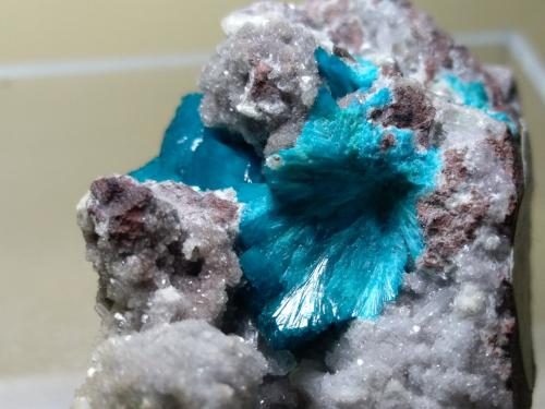 Cavansite, Stilbite-Ca<br />Wagholi Quarry, Wagholi, Pune District (Poonah District), Maharashtra, India<br />46 x 25 mm<br /> (Author: Sante Celiberti)