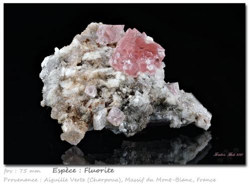 Fluorite<br />Aiguille Verte (lado La Charpoua), Mont Blanc, Chamonix, Haute-Savoie, Auvergne-Rhône-Alpes, Francia<br />fov 75 mm<br /> (Author: ploum)