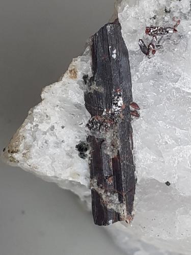 Rutile<br />Moaralm, Habach Valley, Hohe Tauern, Salzburg, Austria<br />4 x 3 cm<br /> (Author: Volkmar Stingl)