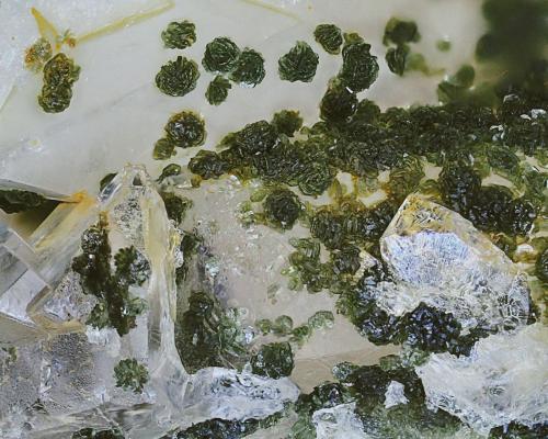 Chlorite Group/Quartz<br />Poldice Mine, St Day United Mines, Saint Day, Camborne - Redruth - Saint Day District, Cornwall, England / United Kingdom<br />28x21x15mm<br /> (Author: david916)
