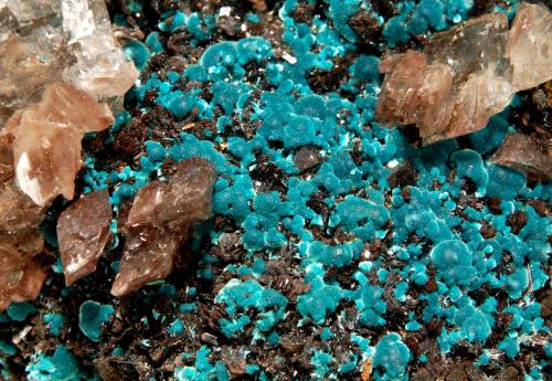 Rosasite<br />Ojuela Mine, Mapimí, Municipio Mapimí, Durango, Mexico<br />5.7 x  x 8.8 cm (FOV=3.6 cm)<br /> (Author: Michael Shaw)