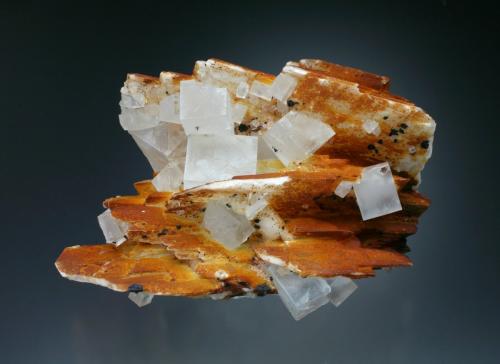 Fluorite with Barite<br />Clara Mine, Rankach Valley, Oberwolfach, Wolfach, Black Forest, Baden-Württemberg, Germany<br />10x6x5 cm overall size<br /> (Author: Jesse Fisher)