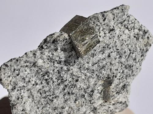 Pyrite<br />Habach Valley, Hohe Tauern, Salzburg, Austria<br />3 x 2,5 cm<br /> (Author: Volkmar Stingl)