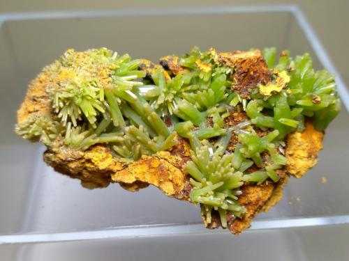 Pyromorphite<br />Daoping Mine, Gongcheng, Guilin Prefecture, Guangxi Zhuang Autonomous Region, China<br />46 x 30 mm<br /> (Author: Sante Celiberti)