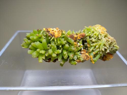 Pyromorphite<br />Mina Daoping, Gongcheng, Prefectura Guilin, Región Autónoma Guangxi Zhuang, China<br />46 x 30 mm<br /> (Author: Sante Celiberti)