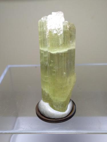 Spodumene (variety hiddenite)<br />Distrito Dara-I-Pech (Distrito Pech), Provincia Kunar (Konar), Afganistán<br />42 x 15 mm<br /> (Author: Sante Celiberti)