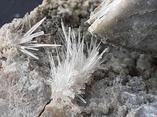 Aragonite<br />Hörndlinger Graben, Hochfilzen, Kitzbühel District, North Tyrol, Tyrol/Tirol, Austria<br />8 x 7 cm<br /> (Author: Volkmar Stingl)
