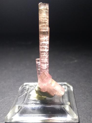 Elbaite<br />Distrito Skardu, Gilgit-Baltistan (Áreas del Norte), Paquistán<br />40 x 15 mm<br /> (Author: Sante Celiberti)
