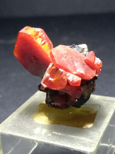 Vanadinite<br />Mibladen (distrito minero Mibladen), Midelt, Provincia Midelt, Región Drâa-Tafilalet, Marruecos<br />25 x 25 mm<br /> (Author: Sante Celiberti)