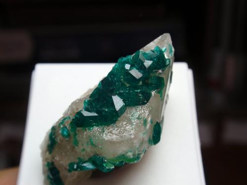 Dioptasa<br />Depósito Altyn-Tyube, Zona Altyn-Tyube, Estepas Kirguises, Región Karaganda, Kazajstán<br />20x35 mm<br /> (Autor: Ignacio)
