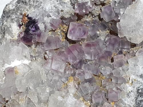 Fluorite<br />Yongping Mine, Yongping, Yanshan, Shangrao Prefecture, Jiangxi Province, China<br />6 x 4,5 cm<br /> (Author: Volkmar Stingl)