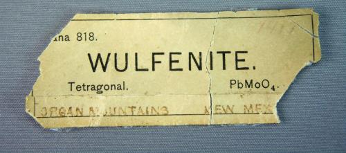 _Old label from unknown collection (Author: rweaver)