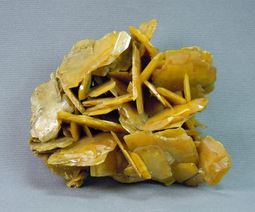 Wulfenite<br />Stevenson-Bennett Mine, Organ Mountains, Organ District, Doña Ana County, New Mexico, USA<br />7.0cm  x 6.0cm<br /> (Author: rweaver)