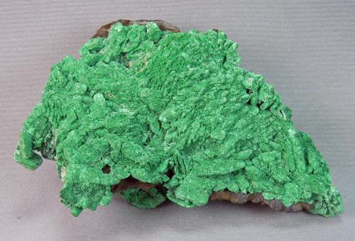 Malachite after Azurite<br />Mina Silver Bill, Grupo Costello Mine, Gleeson, Distrito Turquoise, Montes Dragoon, Condado Cochise, Arizona, USA<br />9.5cm x 6.0cm<br /> (Author: rweaver)