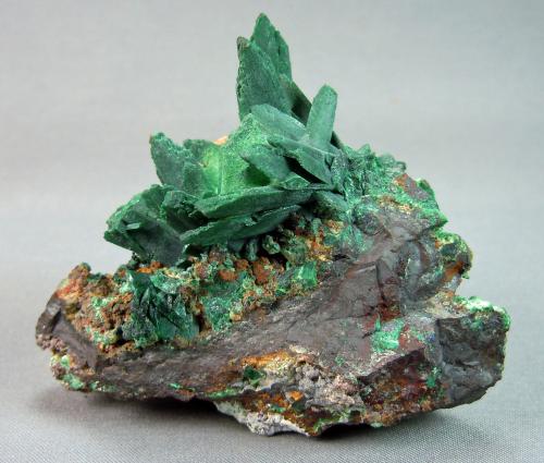 Malachite after Azurite<br />Pozo Sacramento, Colina Sacramento, Bisbee, Distrito Warren, Montes Mule, Condado Cochise, Arizona, USA<br />6.0cm x 5.5cm<br /> (Author: rweaver)