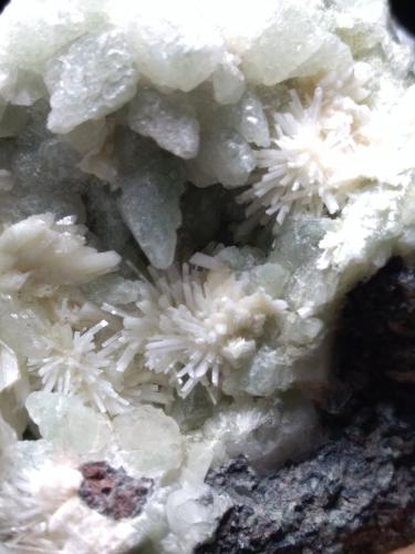 Laumontite<br />Cantera Crastu Muradu, Osilo, Provincia Sassari, Cerdeña/Sardegna, Italia<br />51 x 41 mm<br /> (Author: Sante Celiberti)