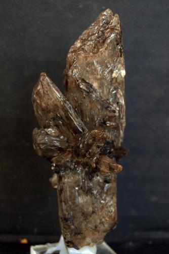 Yeso<br />Barranco de la Tejera, Loma de la Cuna, Montalbán, Comarca Cuencas Mineras, Teruel, Aragón, España<br />9.5 x 4 cm<br /> (Autor: Pedro Antonio)