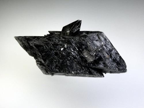 Yeso<br />Villarroya Mines, Villarroya, Comarca de Arnedo, La Rioja, Spain<br />8 x 4 cm.<br /> (Autor: Antonio P. López)
