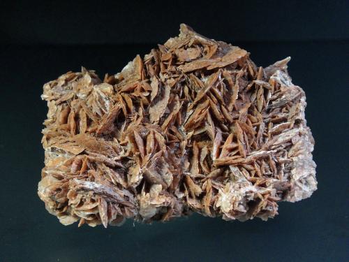 Yeso<br />Hermitage de Pinyeres, Pinyeres, El Masroig, Comarca Priorat, Tarragona, Catalonia / Catalunya, Spain<br />8 x 5 cm.<br /> (Autor: Antonio P. López)