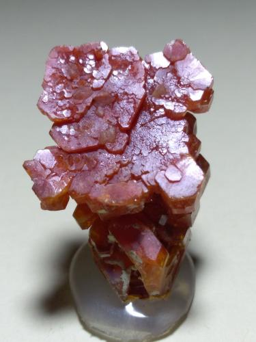 Vanadinite<br />Mibladen (Mibladen mining district), Midelt, Midelt Province, Drâa-Tafilalet Region, Morocco<br />30 x 17 mm<br /> (Author: Sante Celiberti)