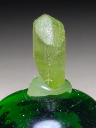 Forsterite (variety peridot)<br />Sapat Gali (Suppat), Naran, Kaghan Valley, Mansehra District, Khyber Pakhtunkhwa, Pakistan<br />12 x 7 mm<br /> (Author: Sante Celiberti)