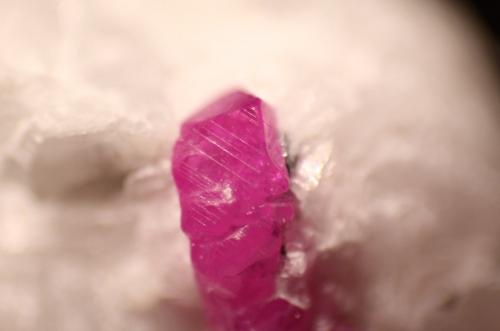 Corundum (variety ruby)<br />Jagdalek Mine, Surobi, Kabul, Afghanistan<br />Crystal: 12 mm.<br /> (Author: Firmo Espinar)